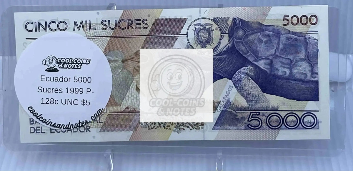 50 Banknote Currency Sleeves Rigid US Dollar Modern Size US Topload Holders Note Cool Coins & Notes